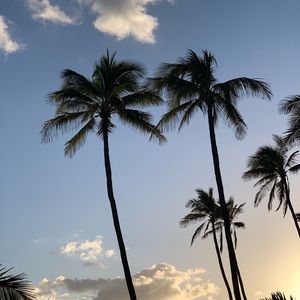 Meet your Posher, Lydia